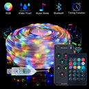 Pisca de Natal LED com Controle Remoto(5 ou 10 Metros) Atmos™