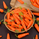 Cenouras Decoração Páscoa